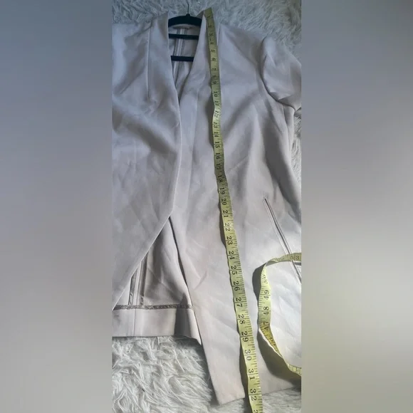 Aritzia Babaton New Power Blazer in Matte Pearl - Picture 5 of 11